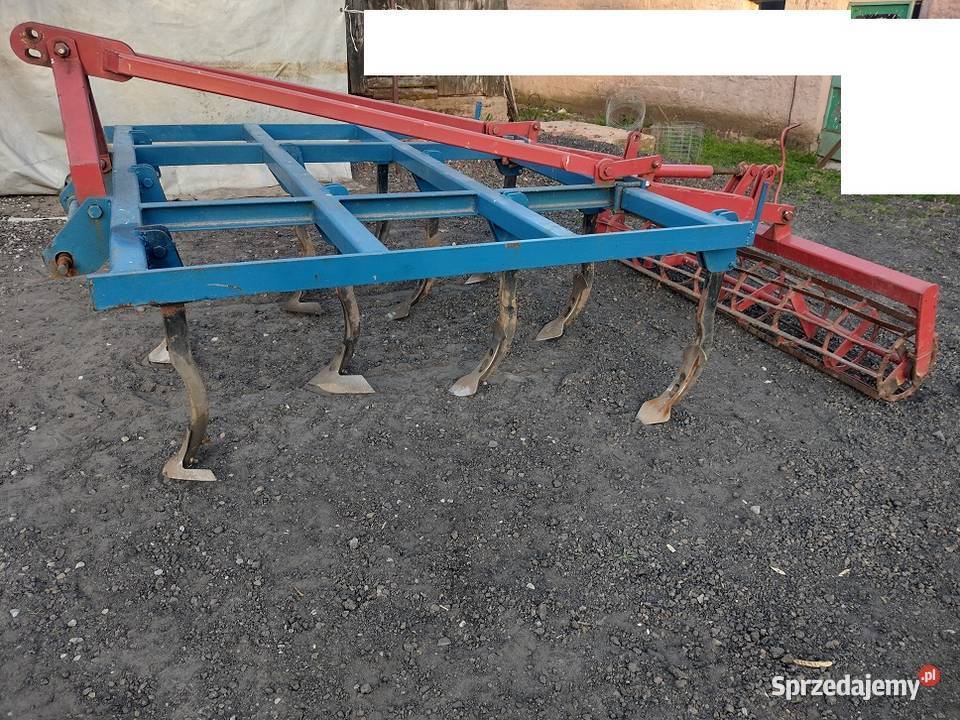Gruber Ścierniskowy 11 łap wałek Wilczyn sprzedam