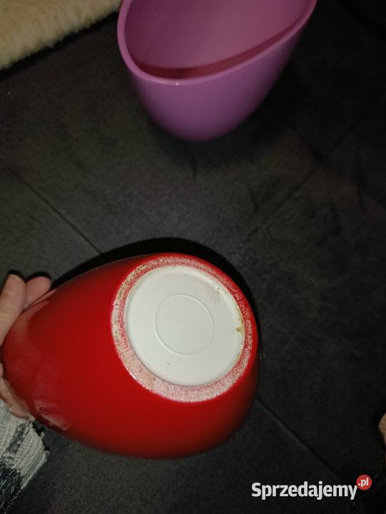 osłonki do storczyków