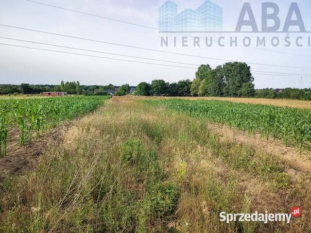 Sprzedam działki budowlane Bielawy obręb Sokółki szambo