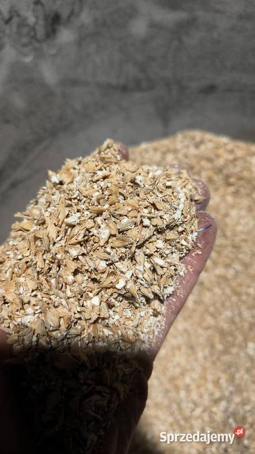 Młynek gniotownik śrutownik ziarna kukurydza ze warmińsko-mazurskie