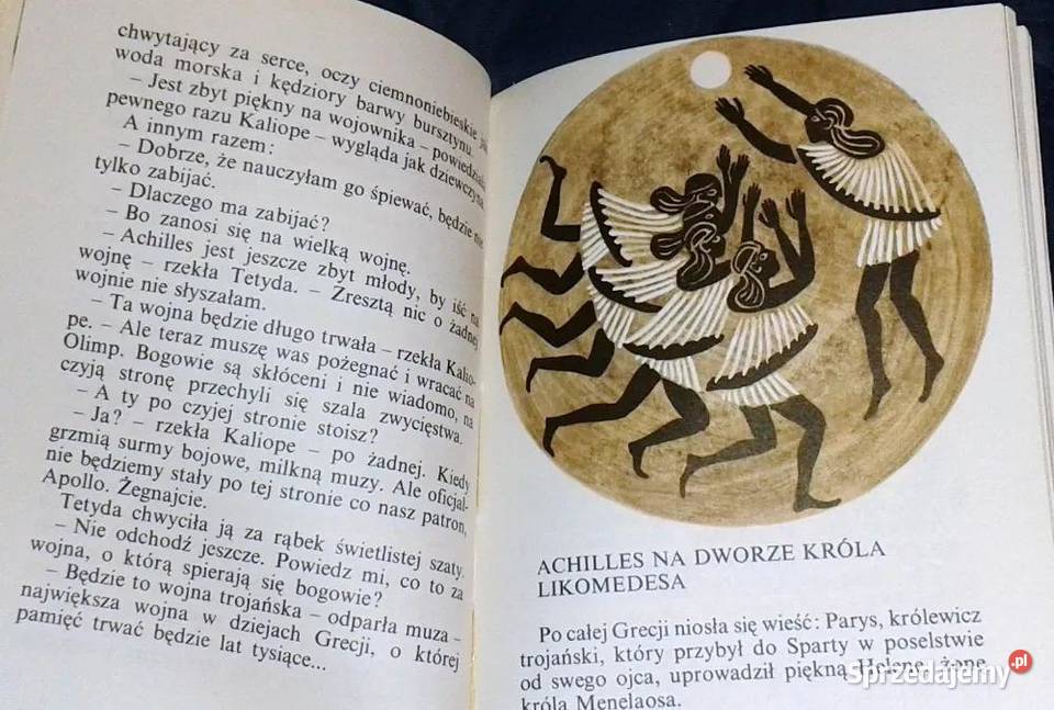 Młodość Achillesa Jadwiga Żylińska Chełm sprzedam