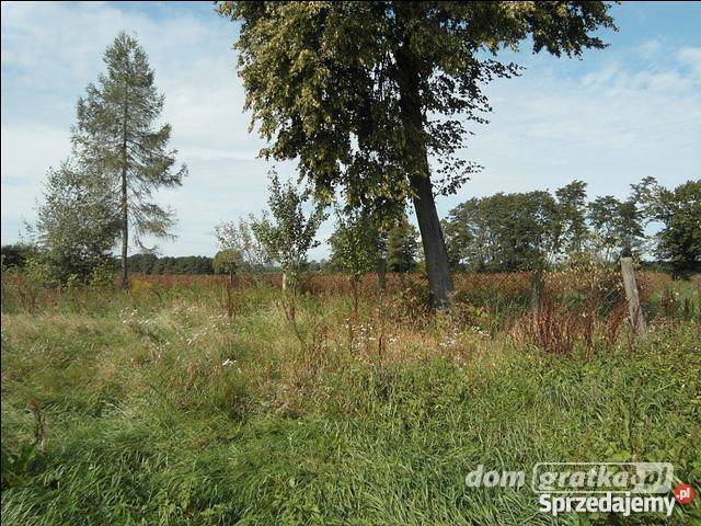 Działka budowlana Niemieryczew