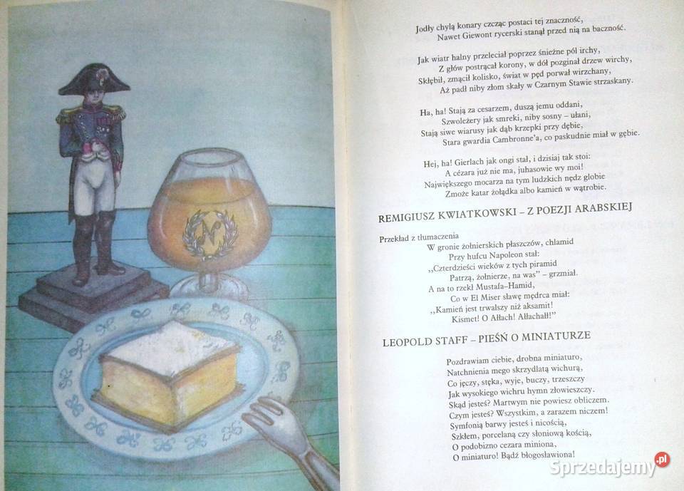 Księga parodii Danuta Sykucka Stanisław Chełm