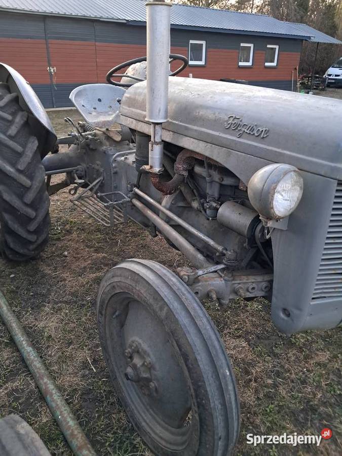 Ferguson TEA Gniewkowo sprzedam