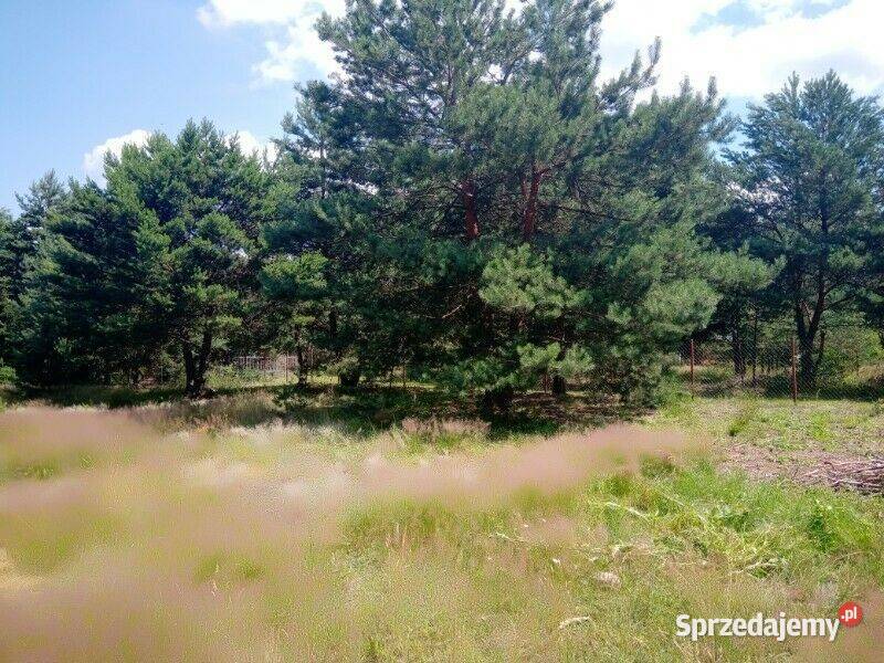 Na sprzedaż działka budowlana o powierzchni 2008 Cieszanowice