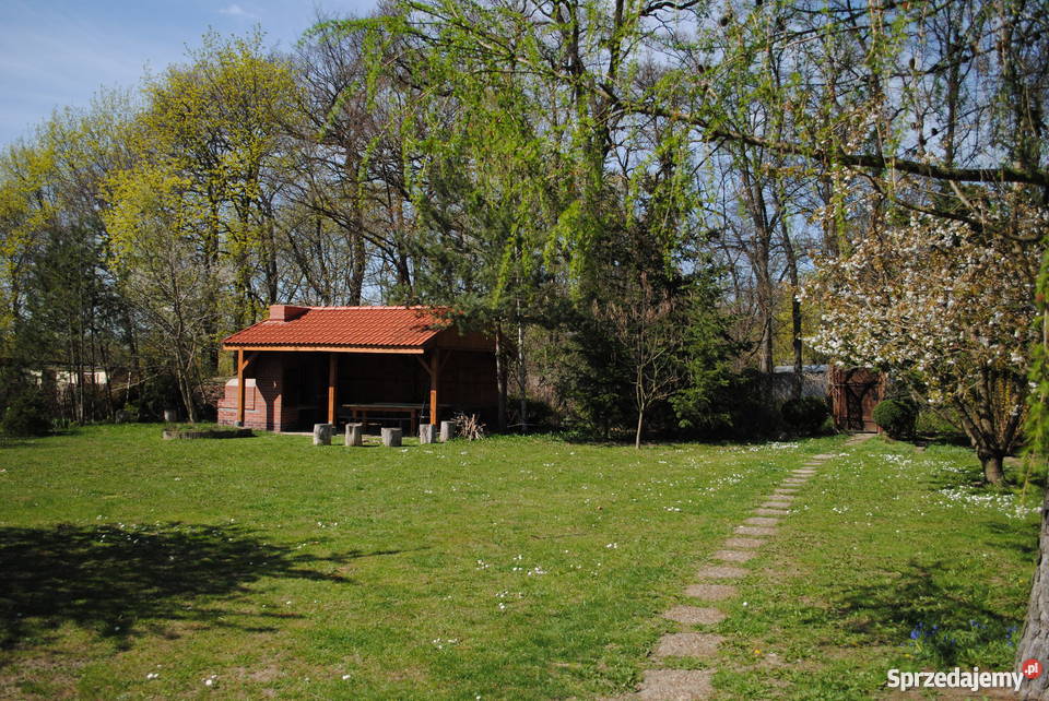 dom z dużym ogrodem