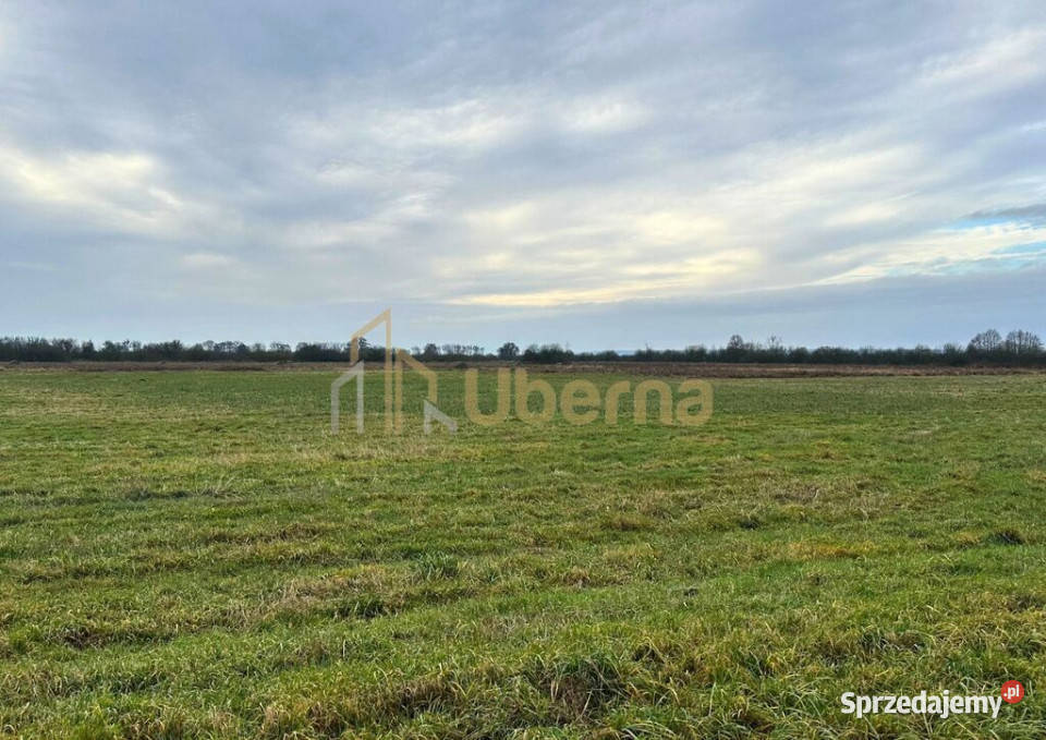 Działka rolna GmGoleniów na sprzedaż Komarowo