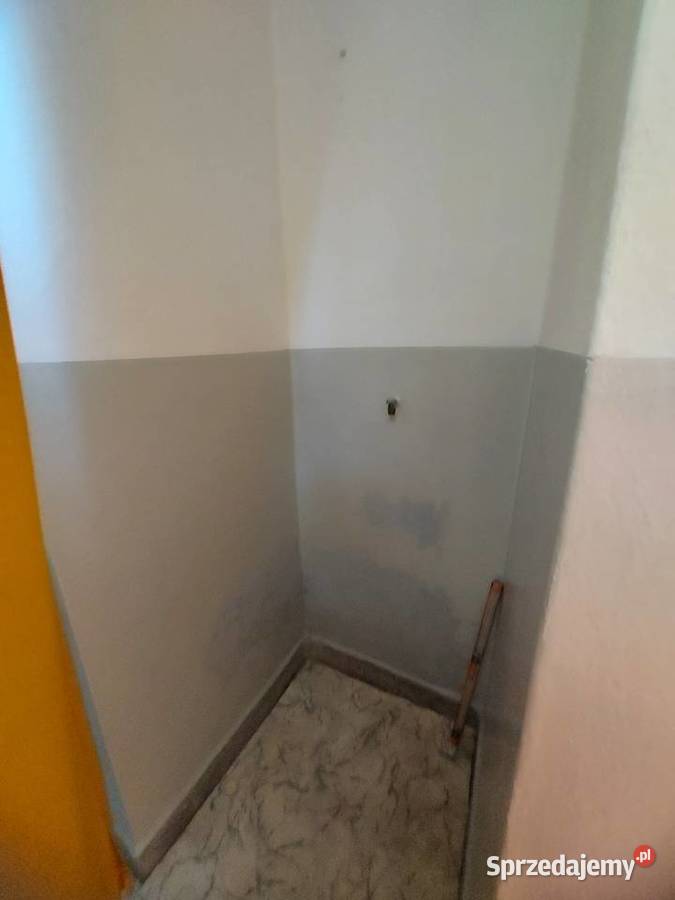 Jedlicze lokal 50 m do wynajecie Krosno