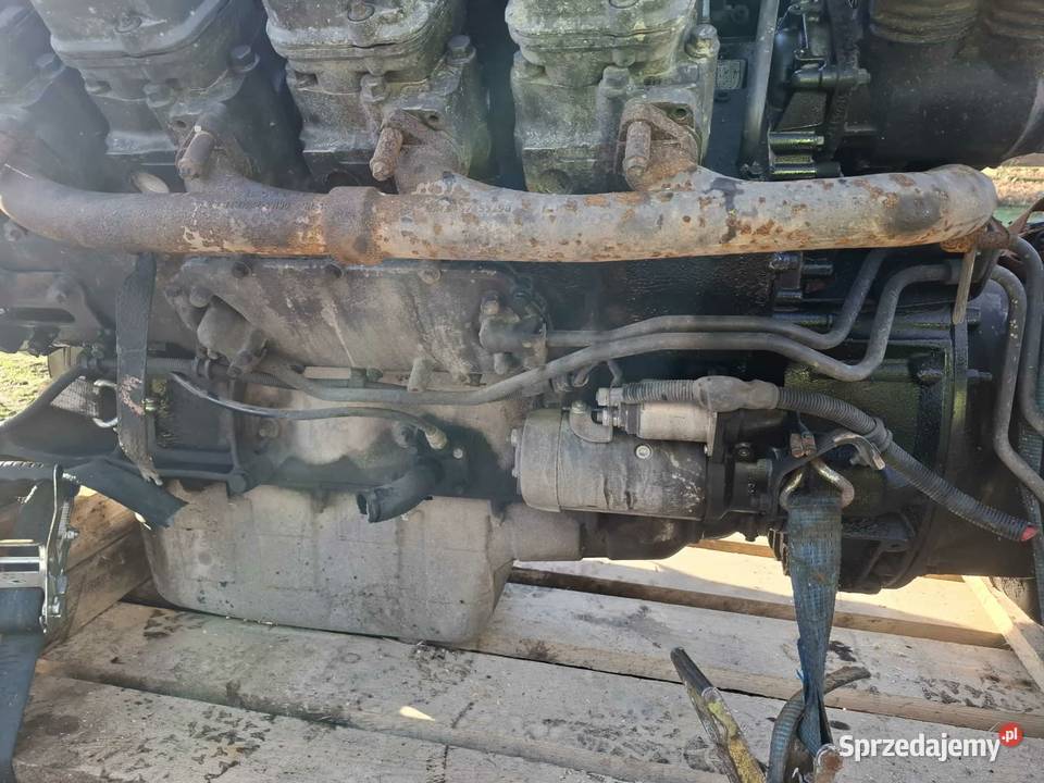 Śprzedam silnik Scania R164 480 Narol