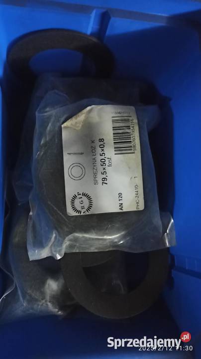 Sprężyna łoż K 79550508 fosf AN 120 Kłodawa