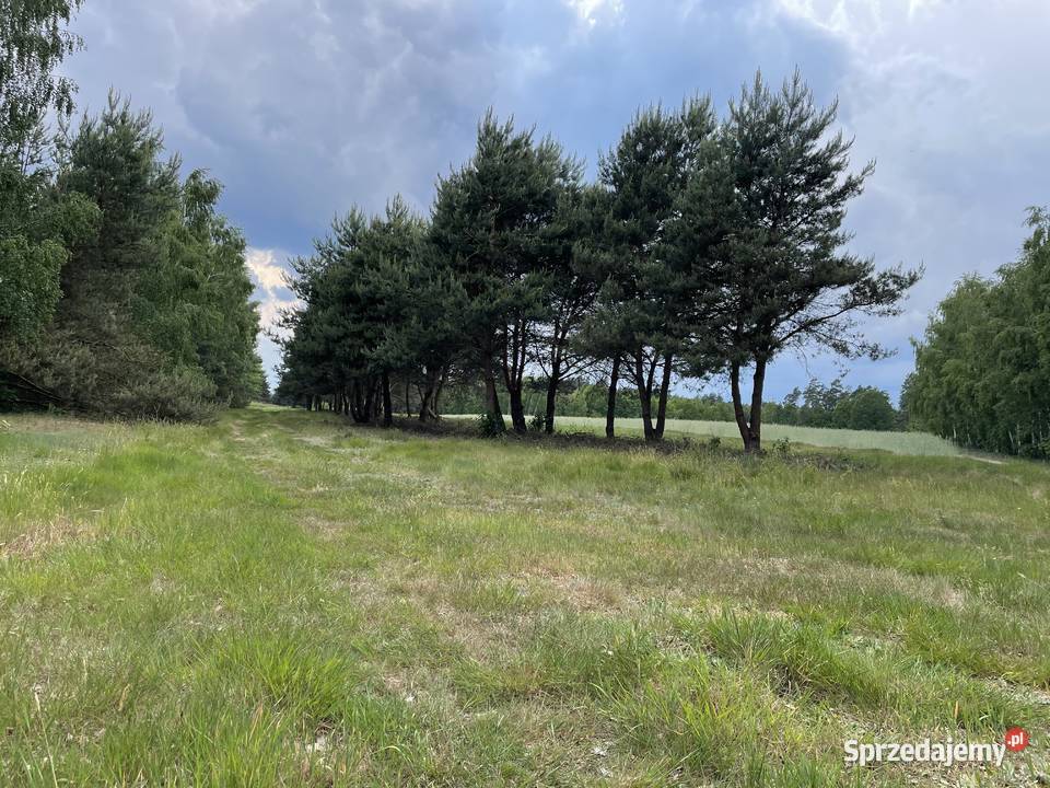 Działka z możliwością budowy domu 14 arów Osiny sprzedam