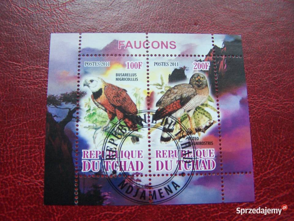 Czad 2011 CTO Fauna Ptaki