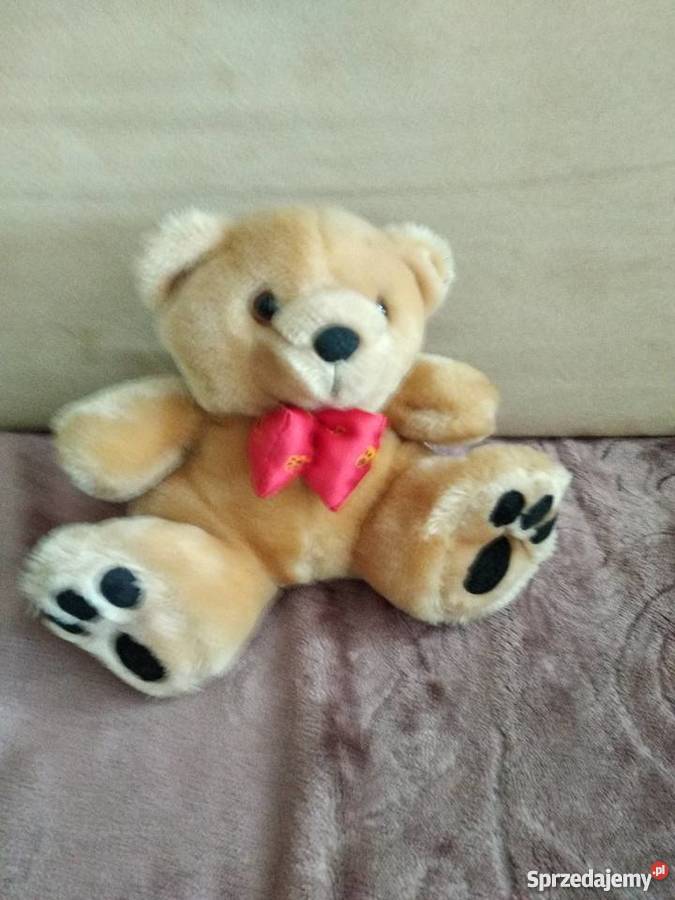 miś pluszak maskotka Poznań