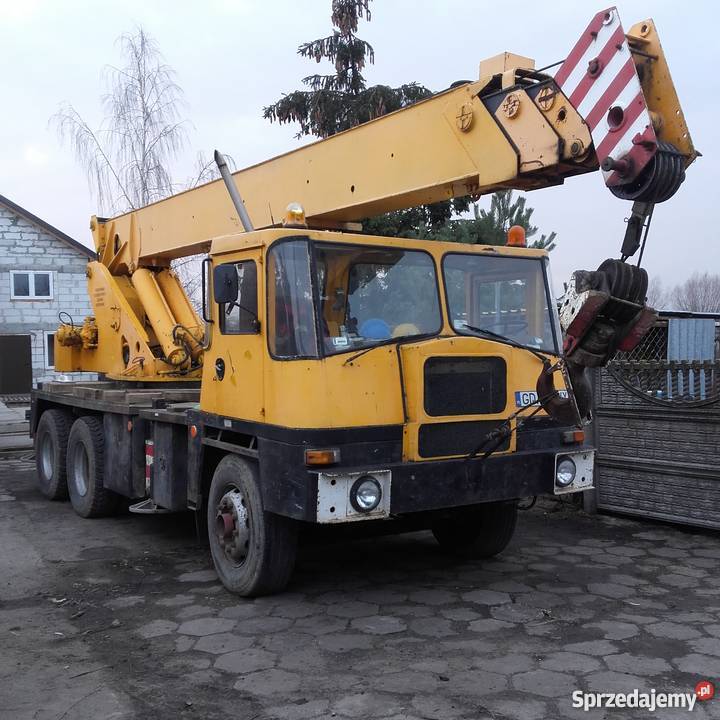 Coles 2022 Rokitnica sprzedam