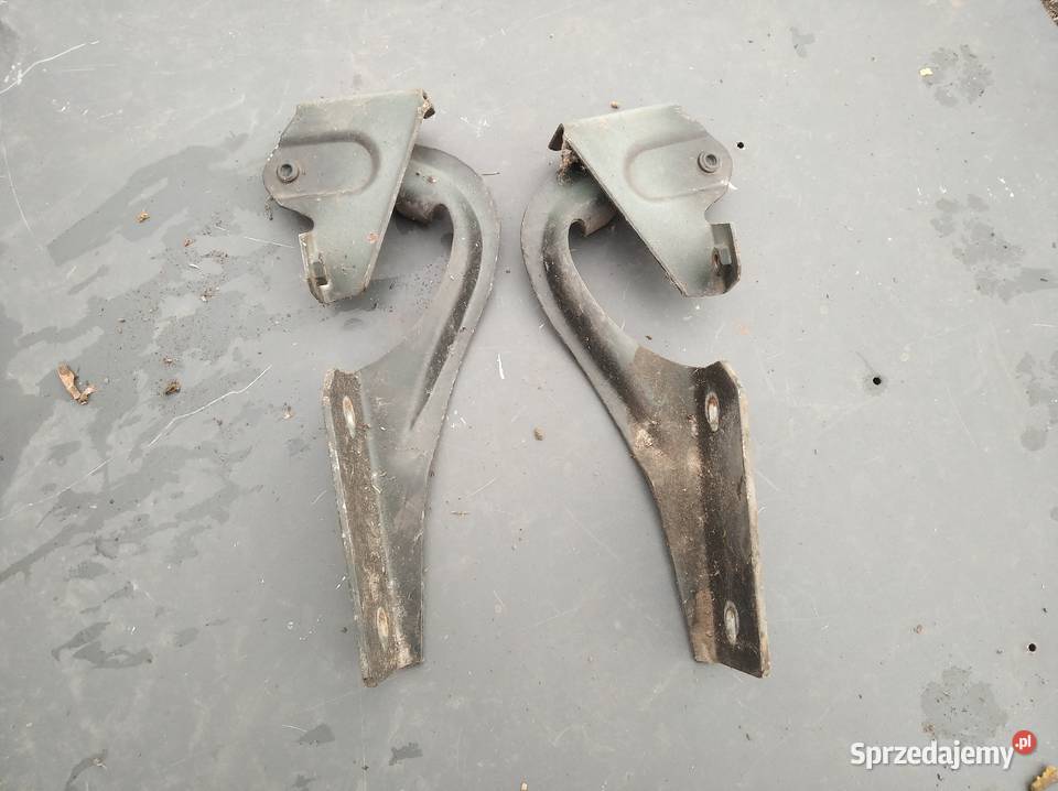 Zawias maski polonez caro Staszów