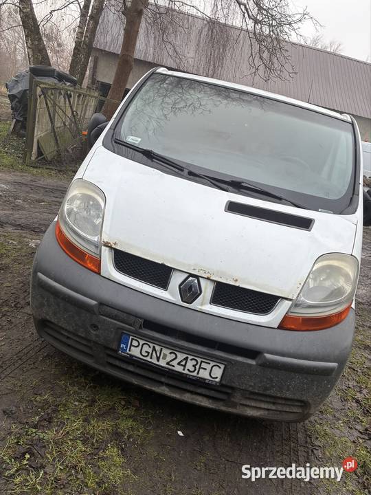 Renault traffic wielkopolskie Duszniki