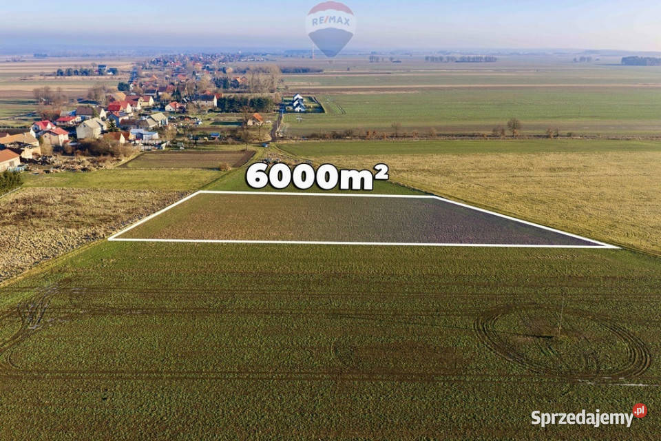 Okazja cenowa Duża działka Chocianowiec polna