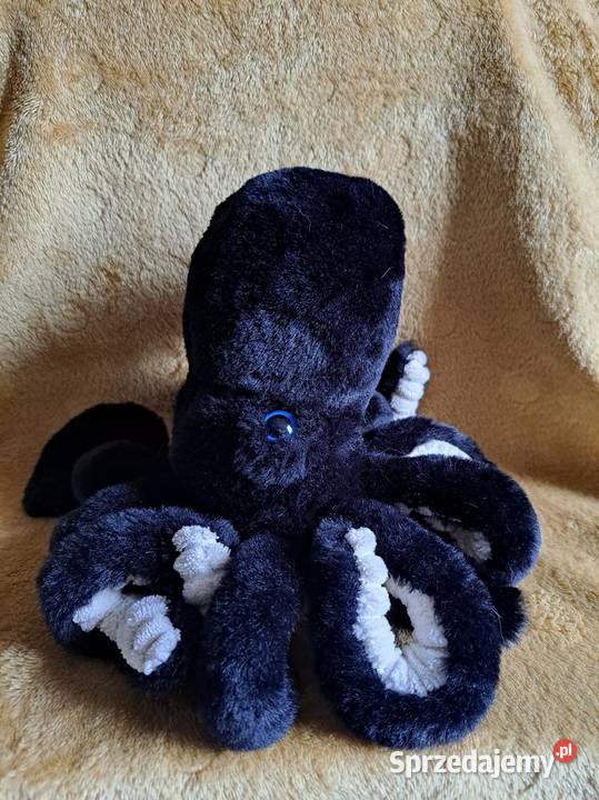 Maskotka ośmiornica sprzedam