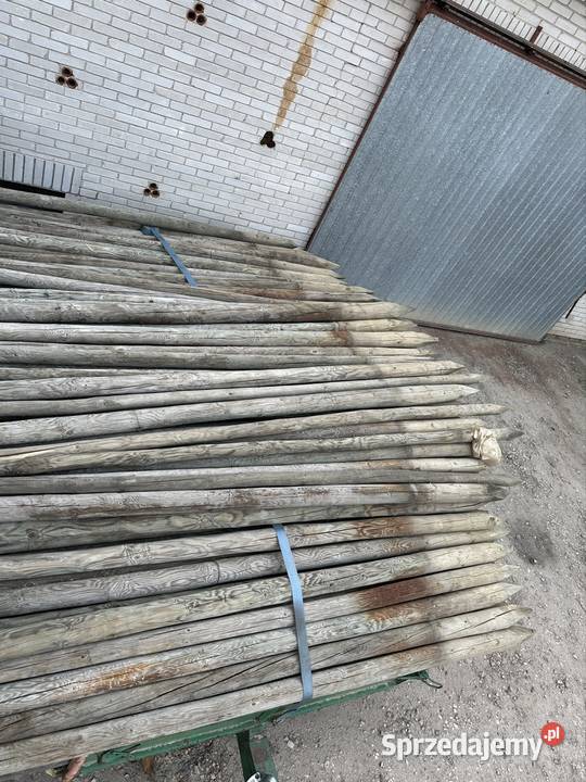 Kołki drewniane sadownicze Wilga