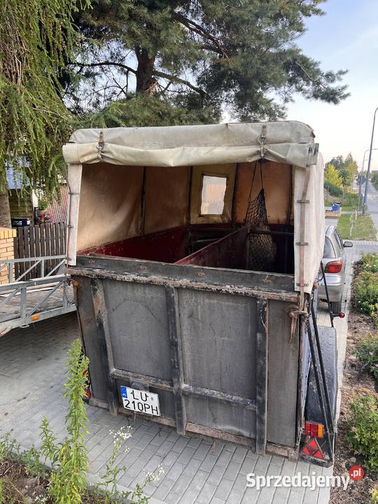 przyczepa koni Lublin