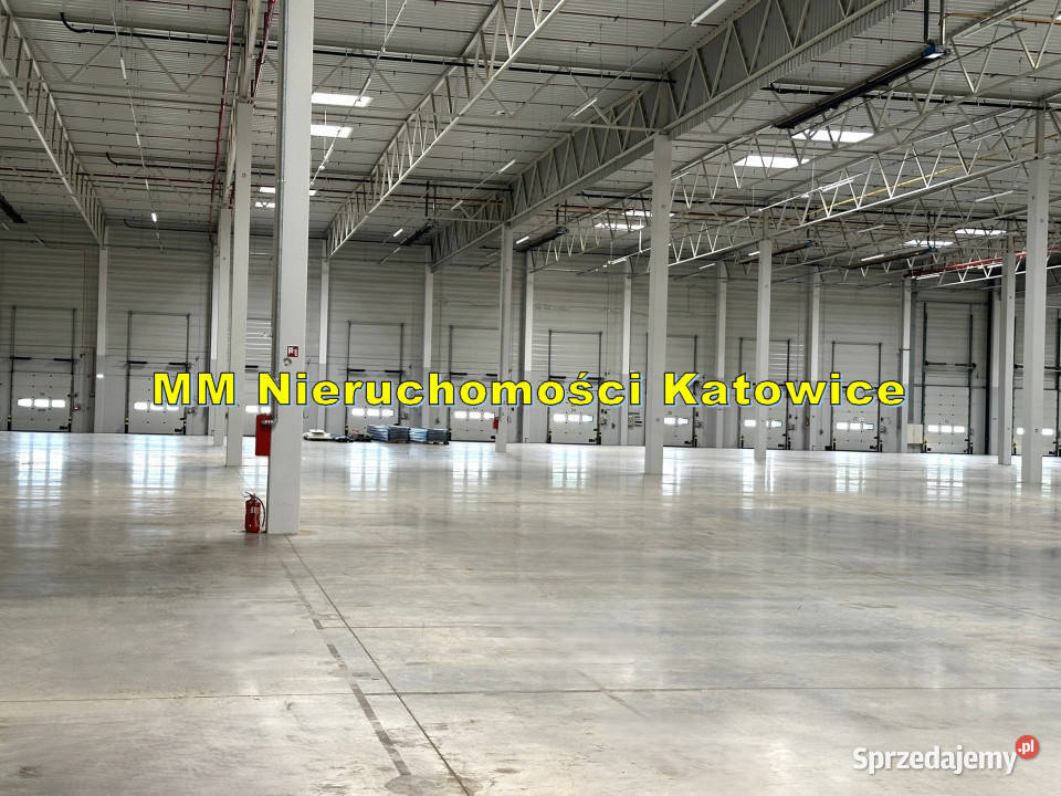 Hale do wynajęcia do 13000 m2 Ruda Śląska A4 0 parking