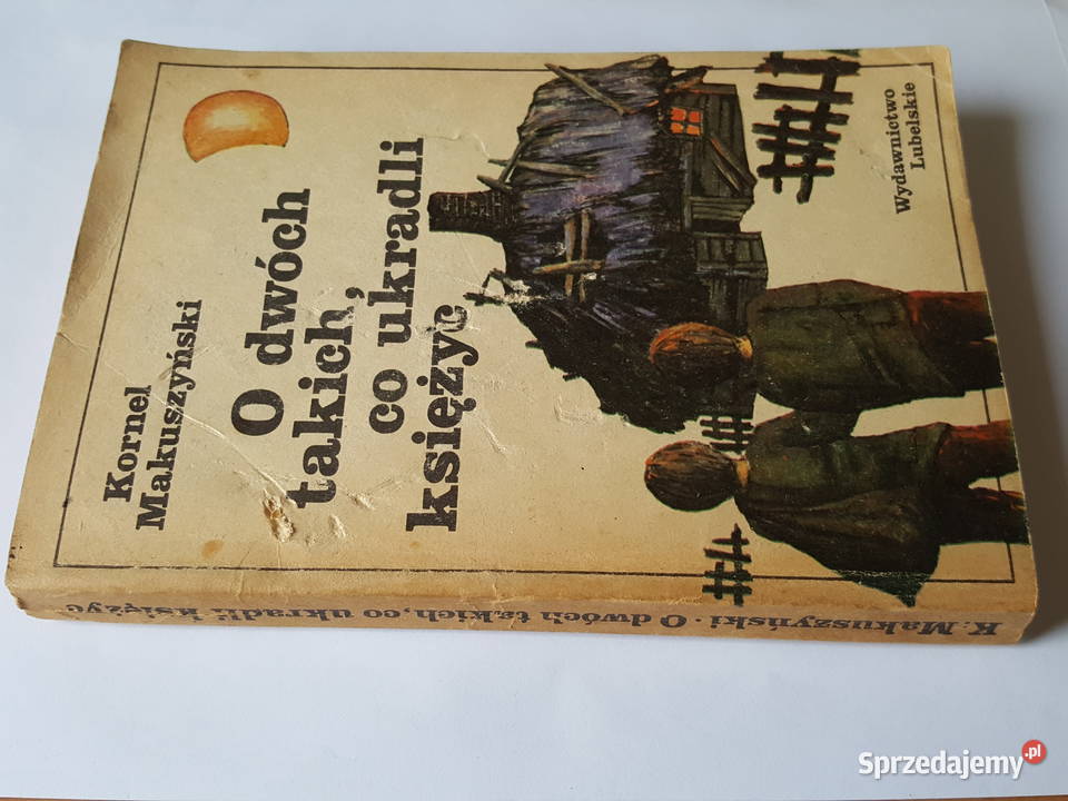 Powieść młodzieży O DWÓCH TAKICH CO UKRADLI Rok wydania 1982