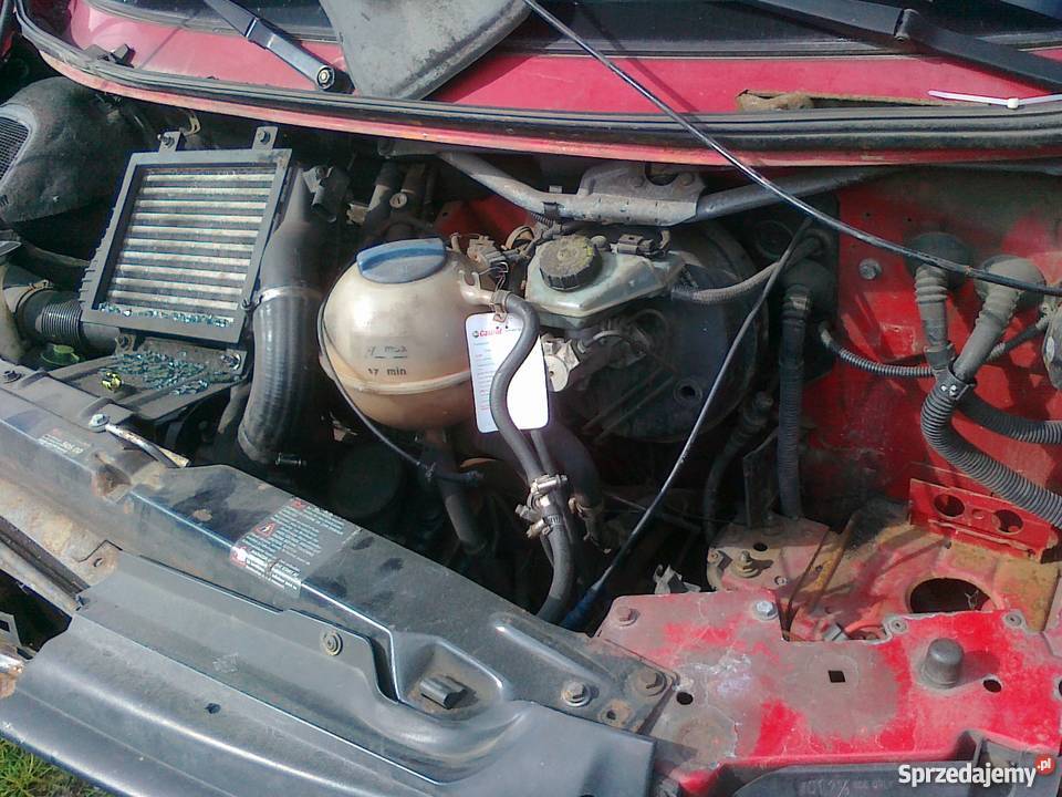 vw caravelle 19td 96r dawca Choceń