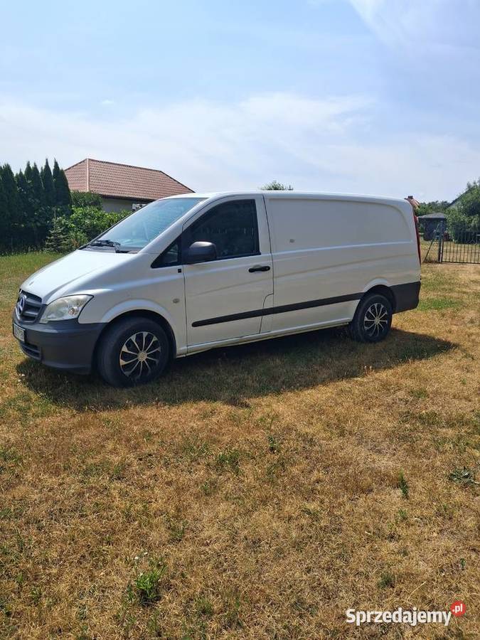 Vito113 cdi lubelskie Kijany