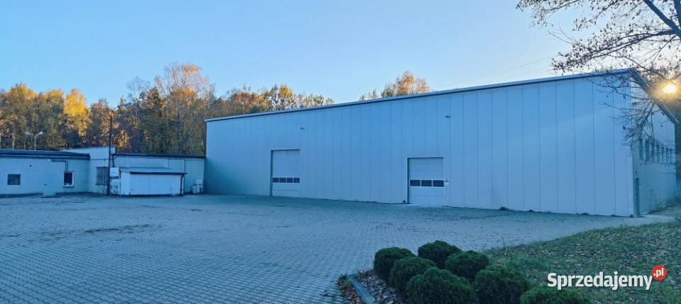 Nowoczesny Magazyn 840 m Plac Manewrowy Dąbrowa Dąbrowa Górnicza