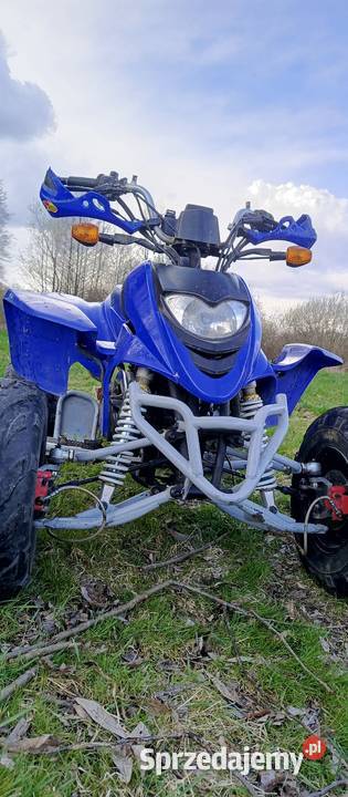 Shineray stxe 250 Chłaniówek