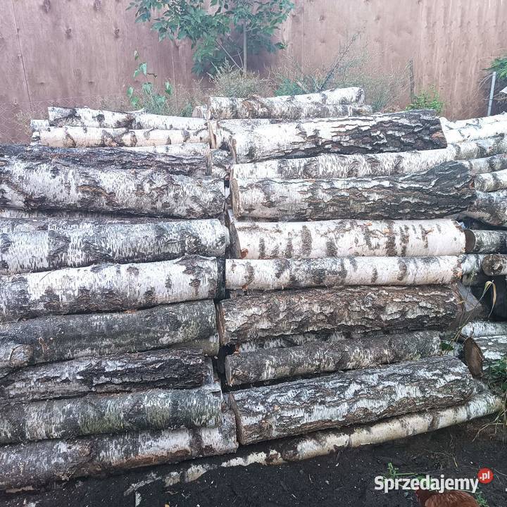 Brzoza do kominka lubelskie Zamość