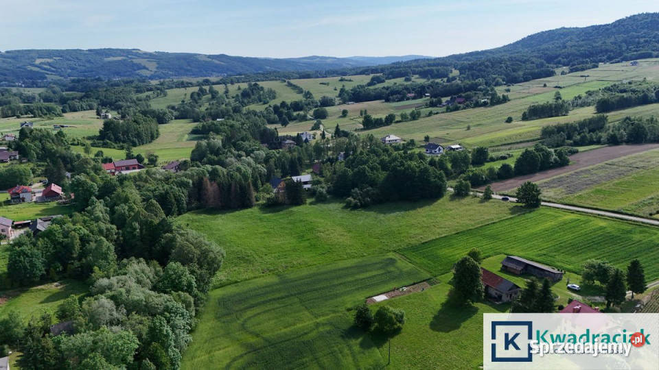 Działka 13100m2 Krasna rolna