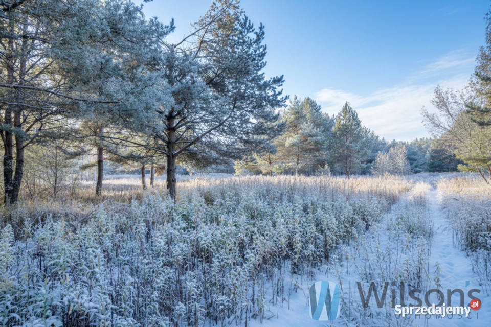 Działka 3000m2 Czosnów Cząstków Polski 41m