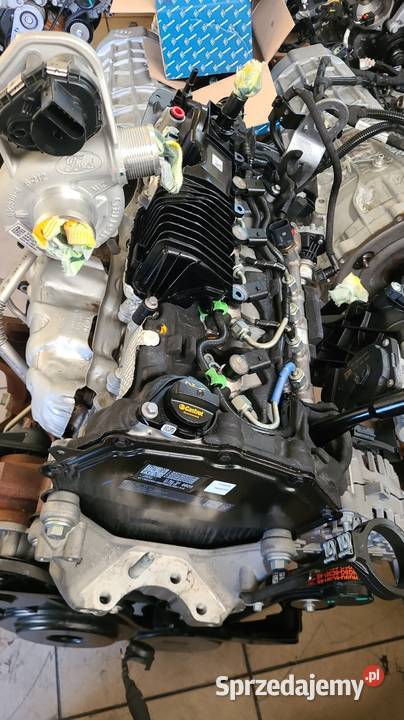 DPF FORD TRANSIT 2238198 GK215L243CH BRATFORD mazowieckie