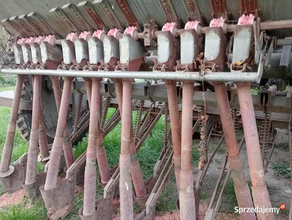 Sprzedam siewnik Poznaniak nieuszkodzony małopolskie Przezwody
