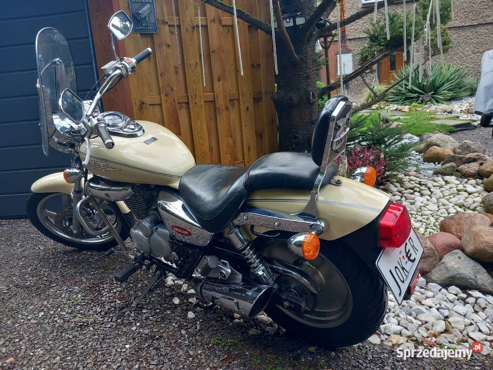 Sprzedam Czopera Dellim VTEvolution śląskie Bielsko-Biała