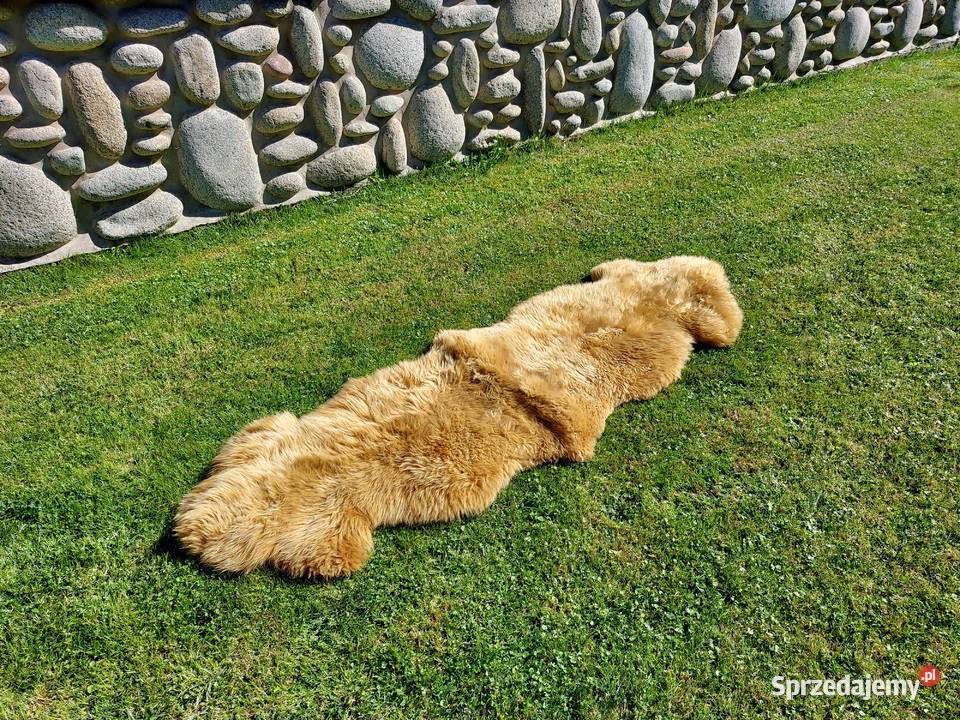 Skóra Owcza Dywan Narzuta Kolor CAMEL Skóra Szaflary sprzedam