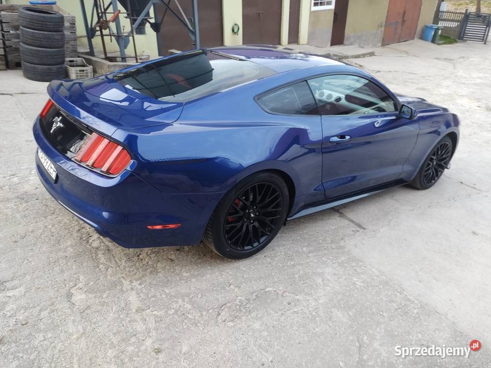 Ford Mustang 37 V6 VI generacja roush Kraków