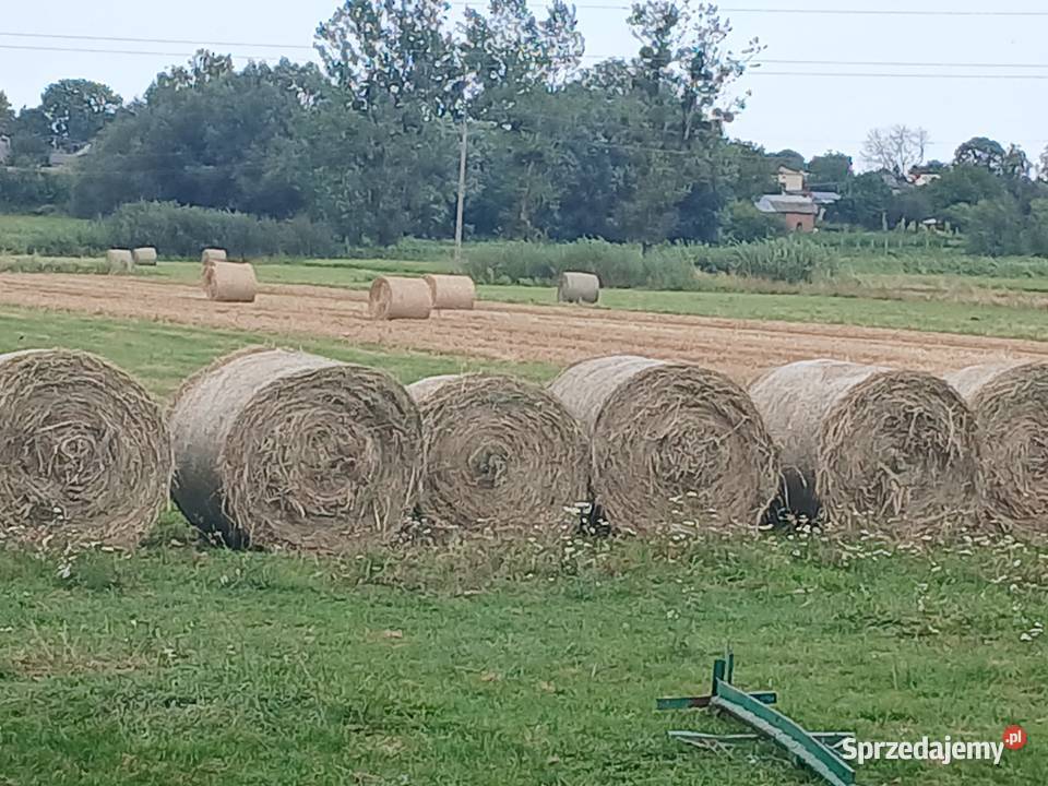 Siano Ląkowe jesień 2025 Role Załawcze sprzedam