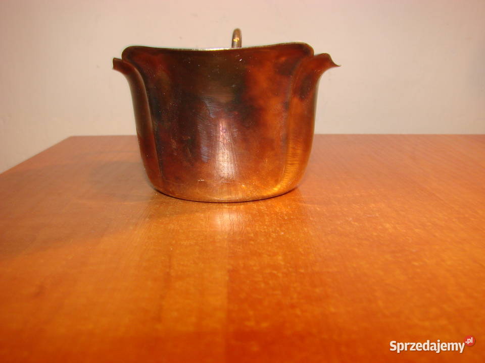 JLH PRIMA NS mlecznik plater