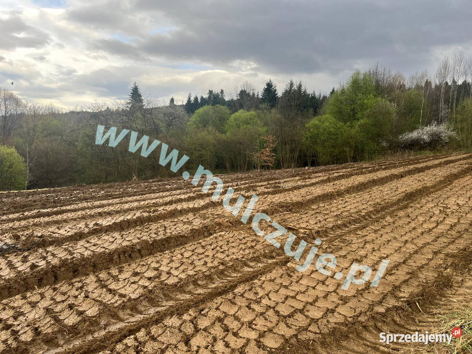 Mulczer leśny wgłębny powierzchniowy Karczowanie Olkusz