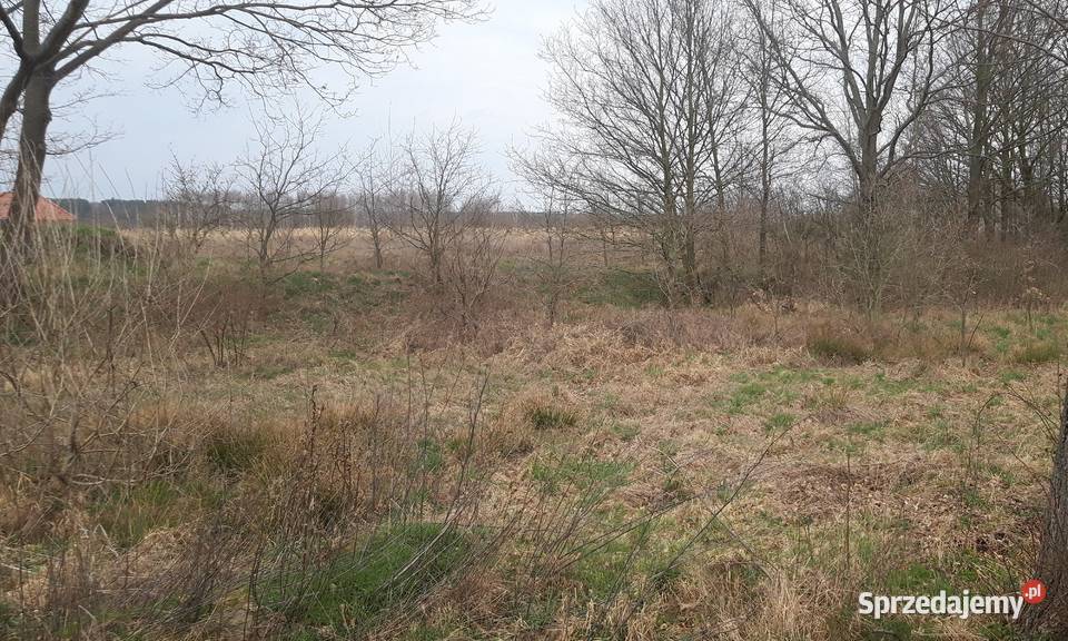 Twoje miejsce na dom wśród zieleni Koźla 2400 m lubuskie