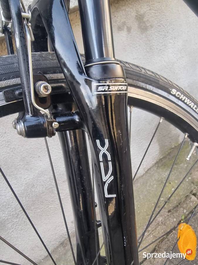 Rower trekingowy Steppenwolf