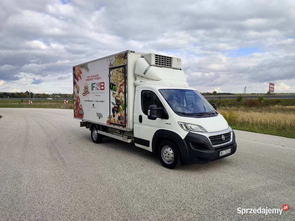 Fiat Ducato Maxi ChłodniaMroźnia 23 180 2019 Dwa kupiony w polskim salonie Wodzisław
