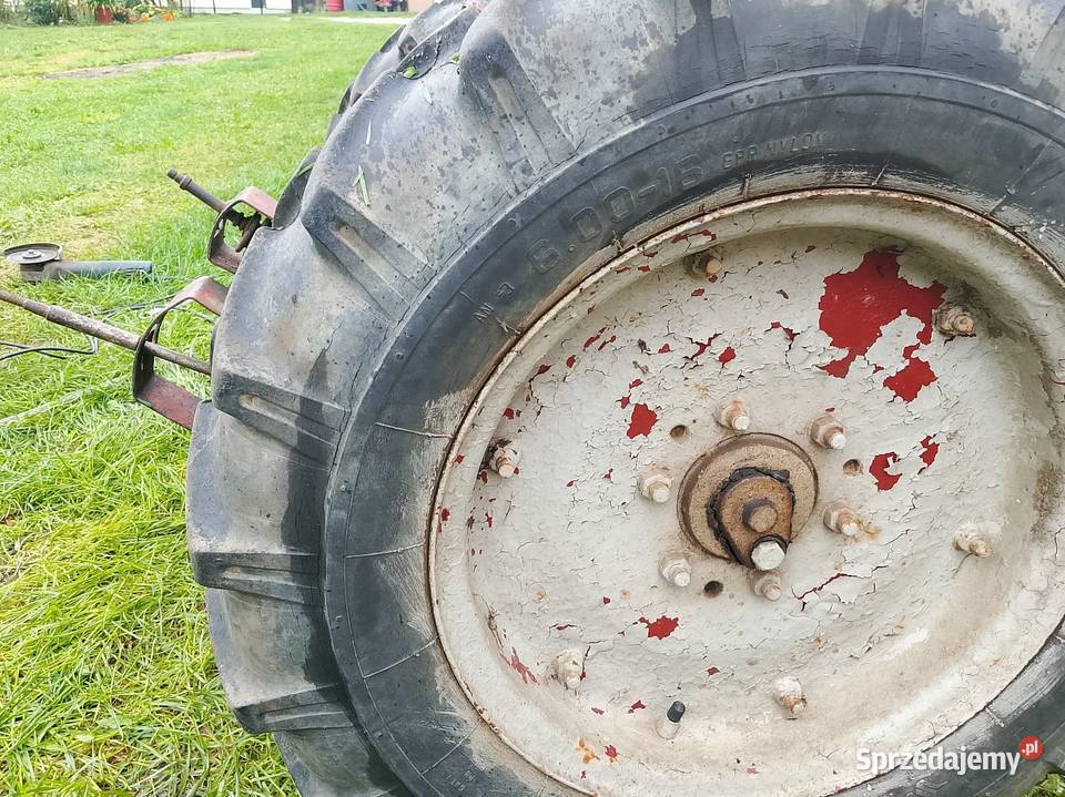 Dzik 21 Rolniczy Rzeszów