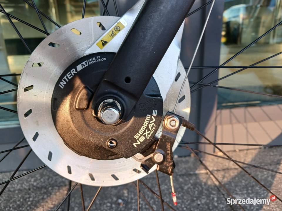 Giant lubelskie Puławy