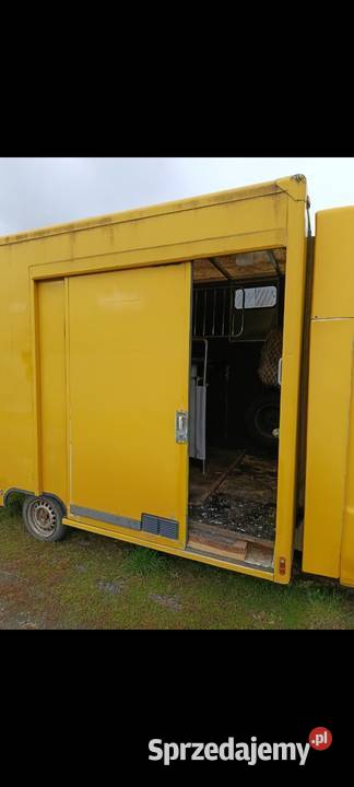 Koniowóz Fiat Ducato do 35t Prudnik