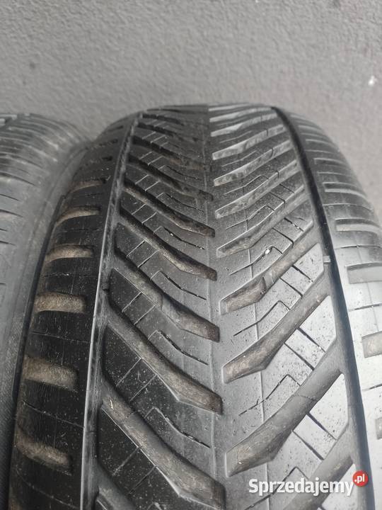 Wielosezonowe Kormoran 16 Piła