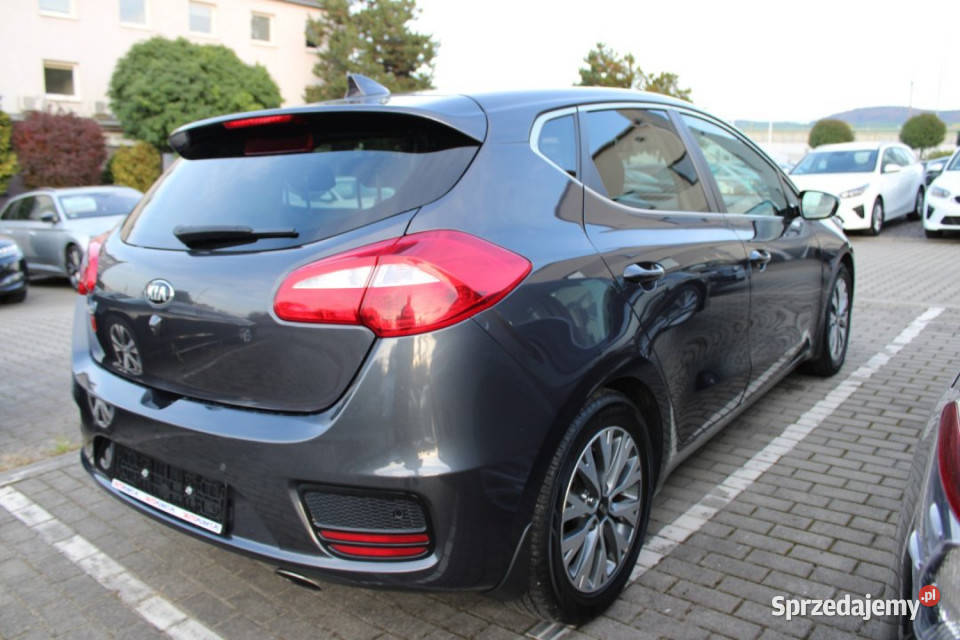 KIA Ceed 2017r Salon Kamera Grzane 135KM Bielsko-Biała
