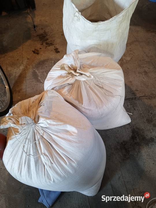 Owies 150 Chełmża sprzedam